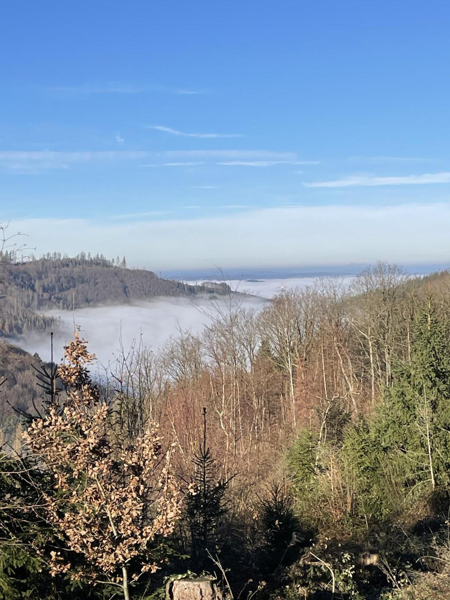 Gittas Paradiesperle Niederdreisbach Dış mekan fotoğraf