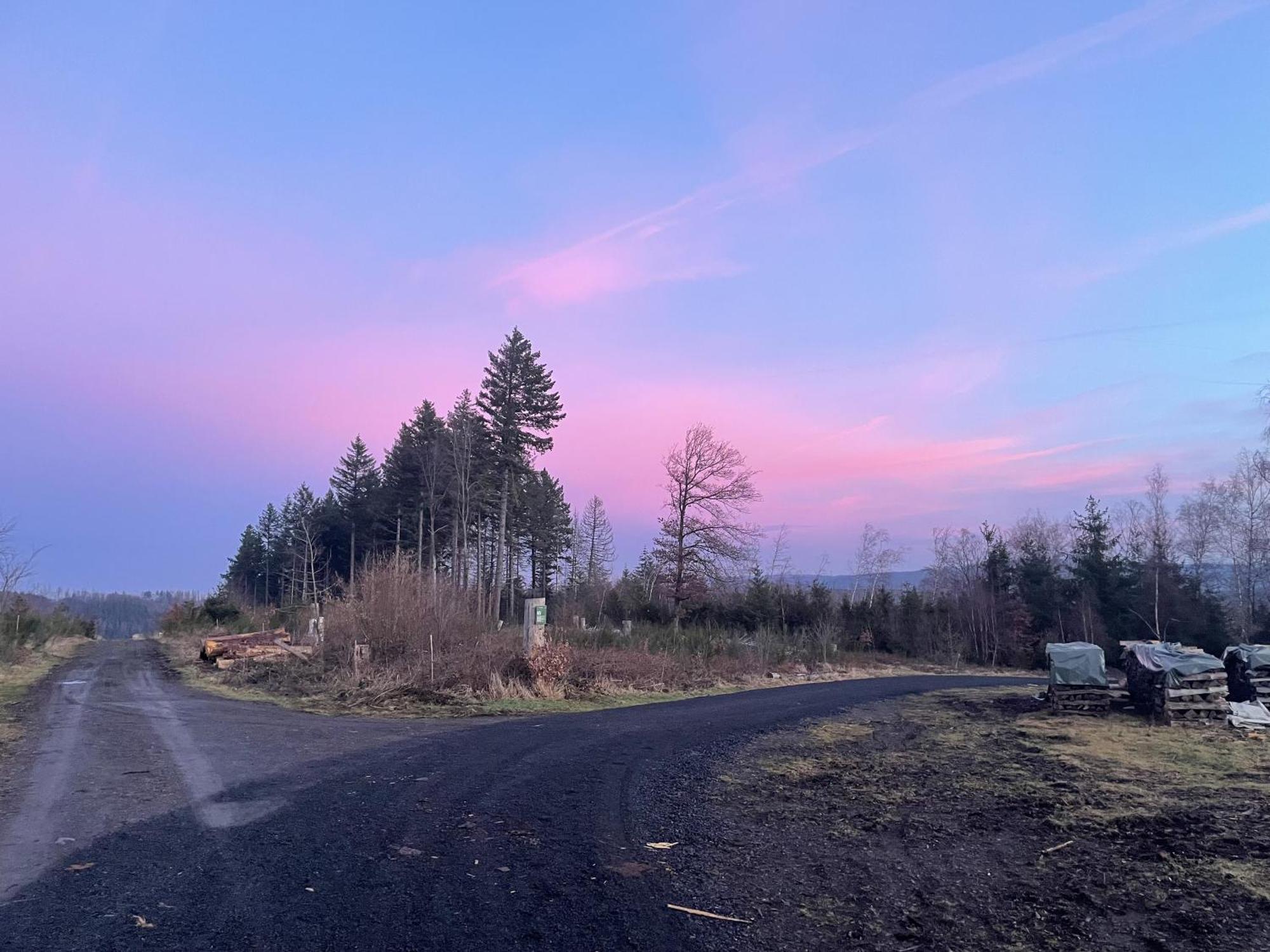 Gittas Paradiesperle Niederdreisbach Dış mekan fotoğraf