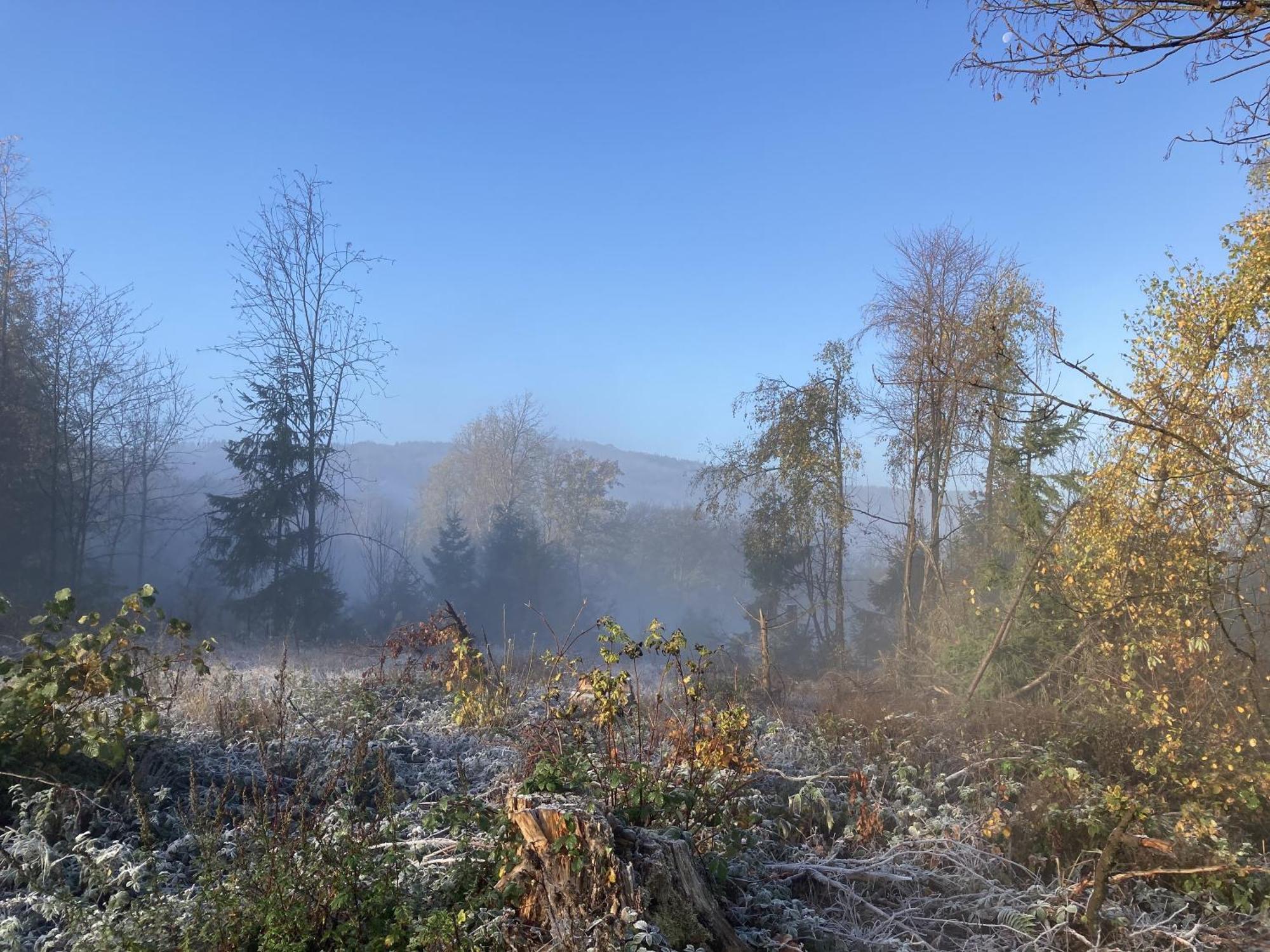 Gittas Paradiesperle Niederdreisbach Dış mekan fotoğraf