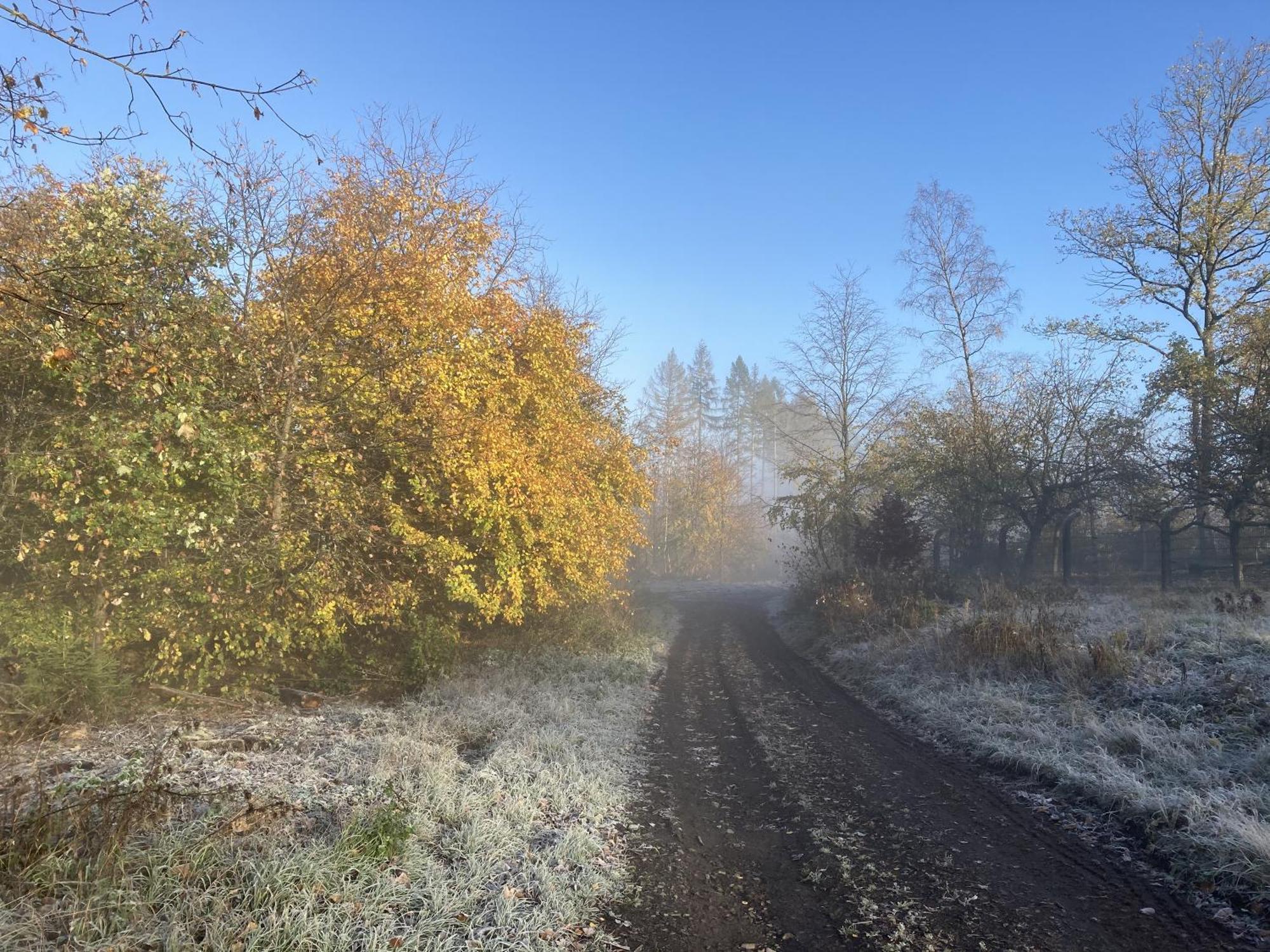Gittas Paradiesperle Niederdreisbach Dış mekan fotoğraf