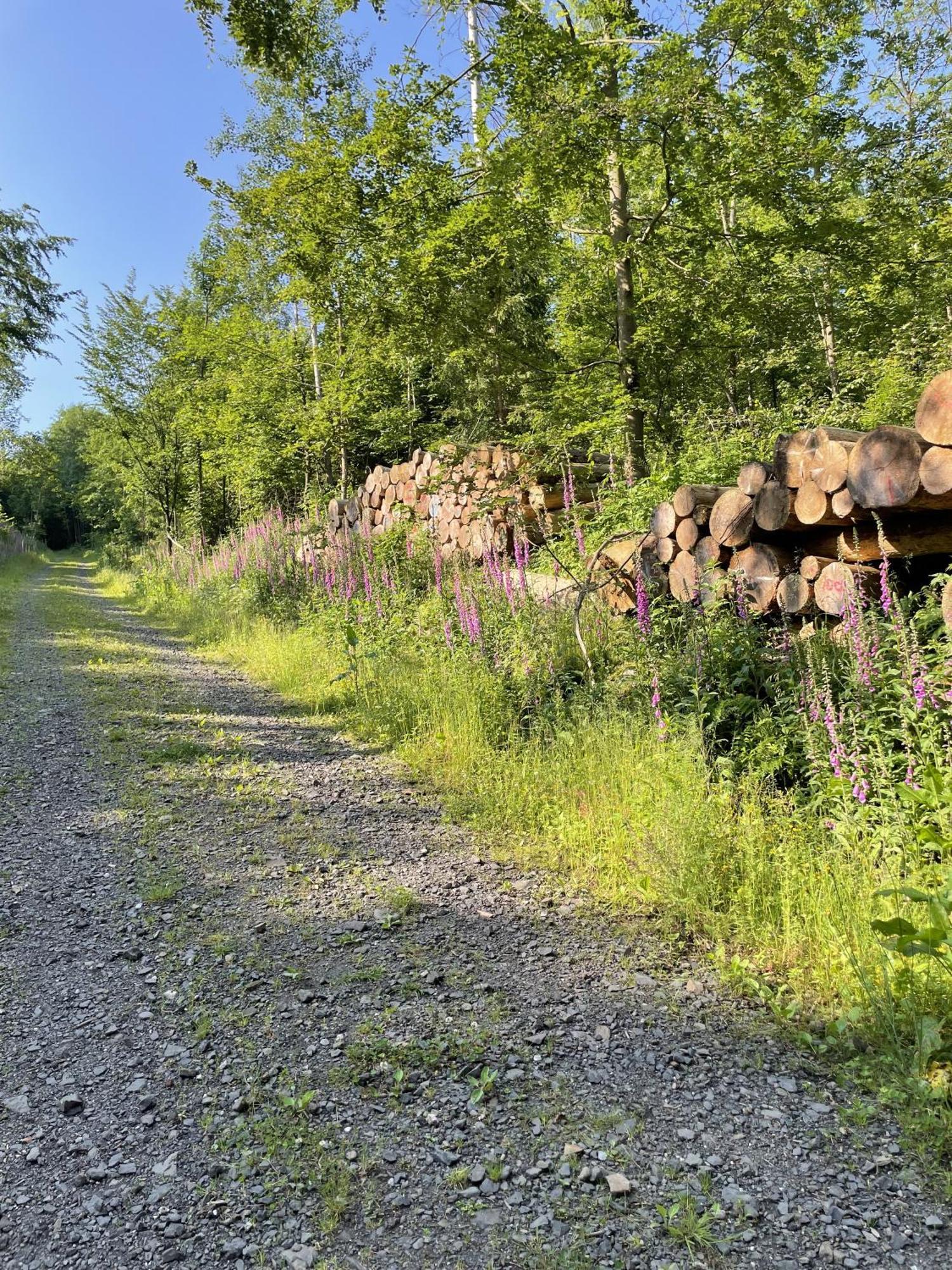 Gittas Paradiesperle Niederdreisbach Dış mekan fotoğraf