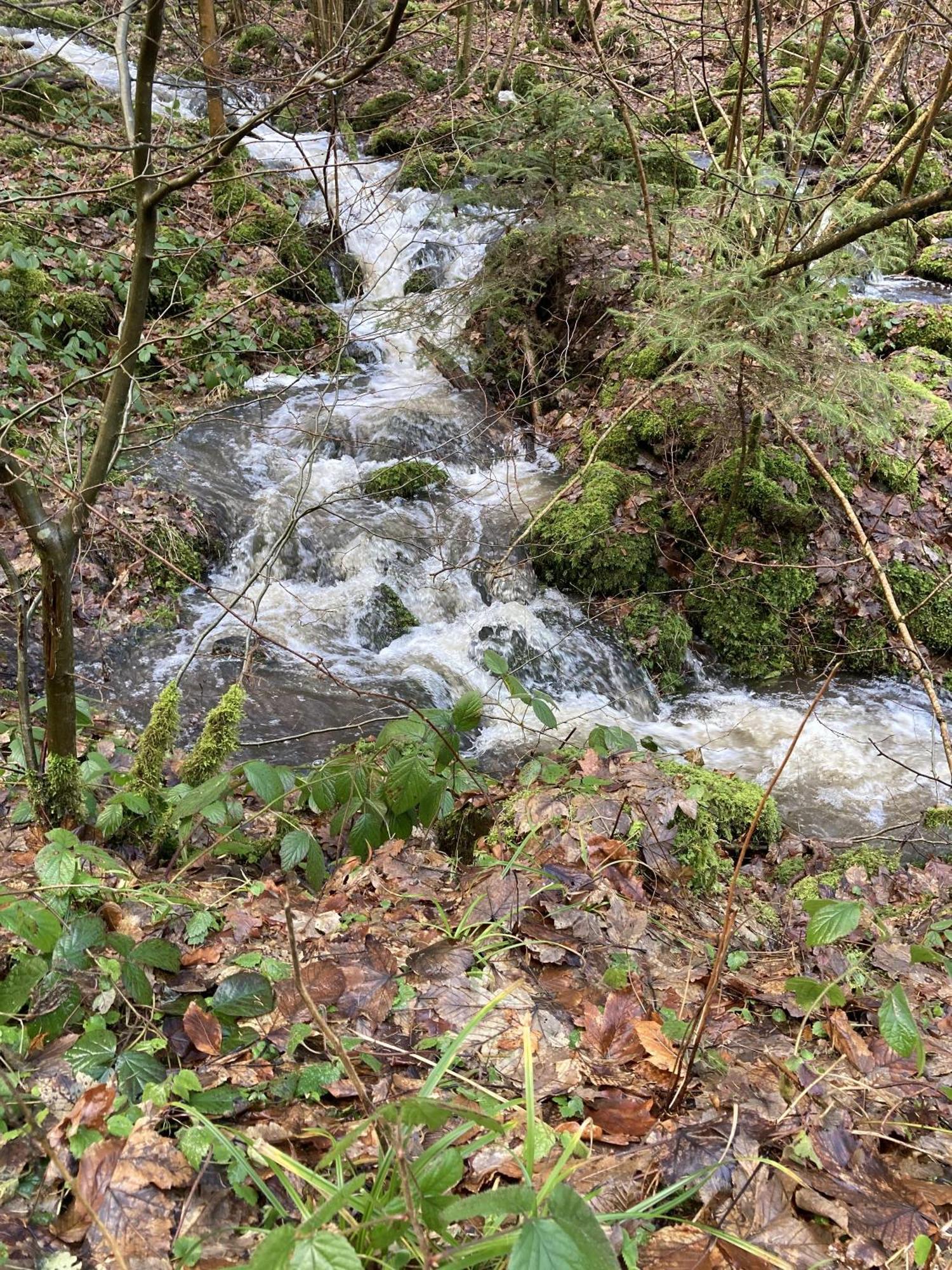 Gittas Paradiesperle Niederdreisbach Dış mekan fotoğraf