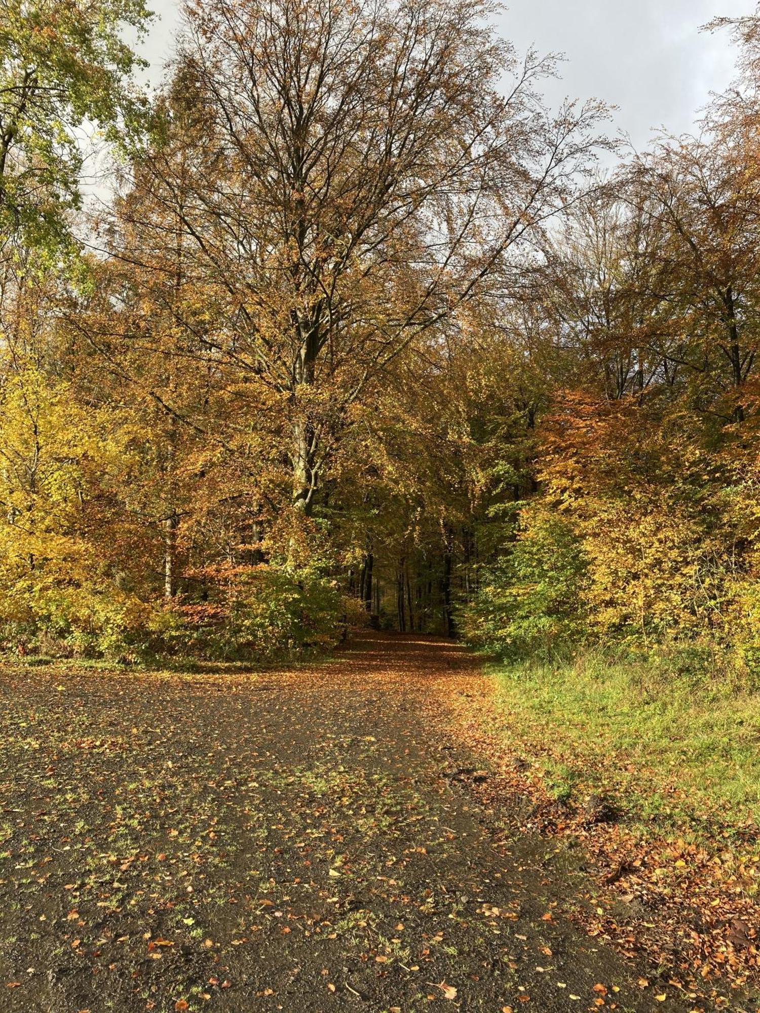 Gittas Paradiesperle Niederdreisbach Dış mekan fotoğraf